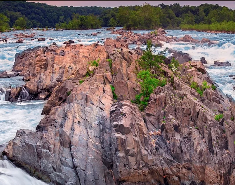 Image shows a large rock formation with some foliage growing on top of it. The rocks are in the middle of the Potomac River, and there are trees in the distance.