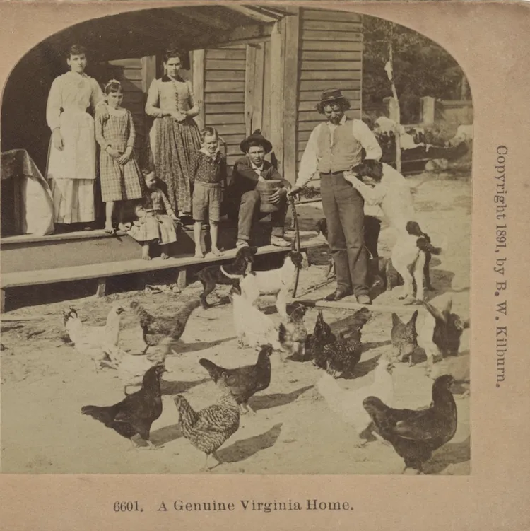  Photograph shows a group of people gathered on and around a porch, with dogs and a flock of chickens in the foreground.